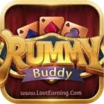 Rummy Buddy APK Icon
